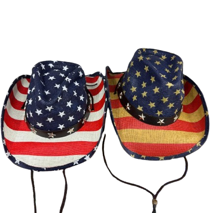 Cowboy/Fedora Hats Assorted