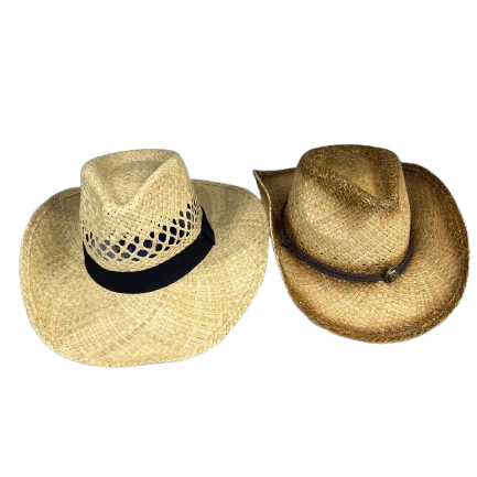 Cowboy/Fedora Hats Assorted
